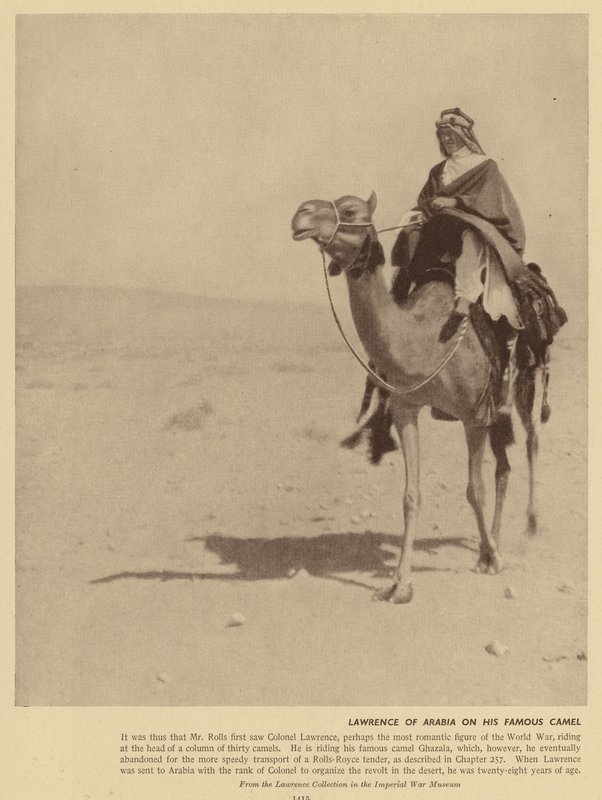 Arabian Lawrence tällä kuuluisalla kamelilla (s/w-kuva). tekijältä English Photographer