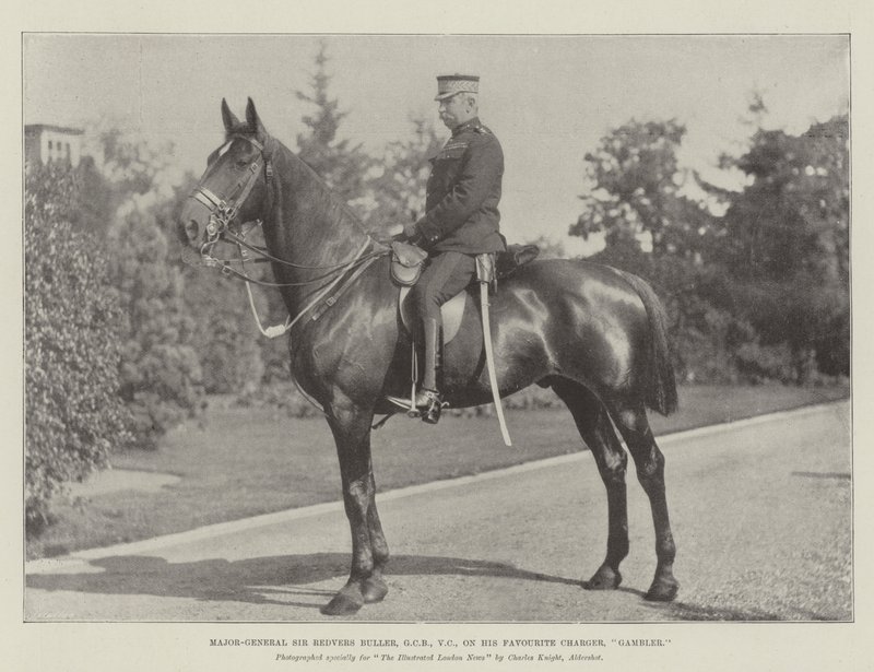 Kenraalimajuri Sir Redvers Buller, GCB, VC, suosikkilaturillaan, Gambler tekijältä English Photographer