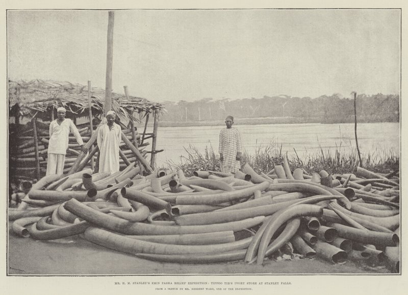Mr H M Stanleys Emin Pasha Relief Expedition, Tippoo Tibs Ivory Store Stanley Fallsissa tekijältä English Photographer