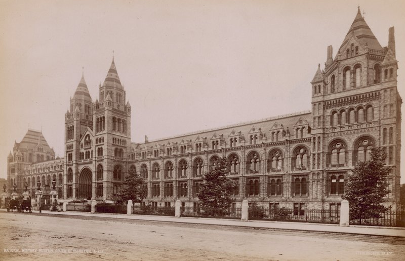Natural History Museum, South Kensington, Lontoo tekijältä English Photographer