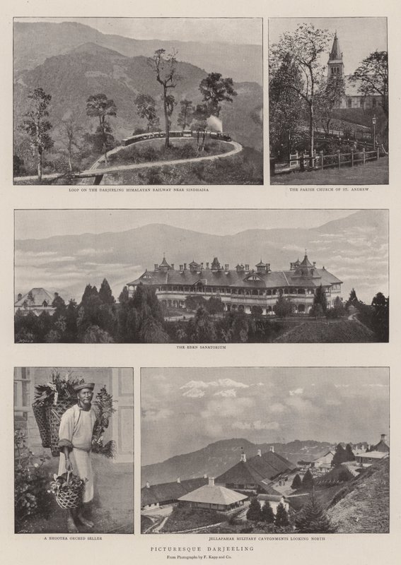 Kuvankaunis Darjeeling tekijältä English Photographer