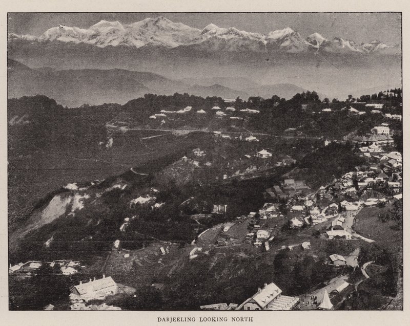 Kuvankaunis Darjeeling tekijältä English Photographer