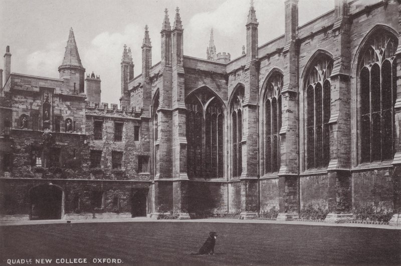 Quadrangle New College, Oxford tekijältä English Photographer