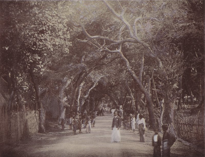 Skinners Road, Colombo (värillinen kuva) tekijältä English Photographer