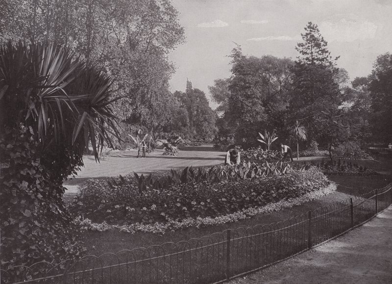 Subtrooppinen puutarha, Battersea Park tekijältä English Photographer