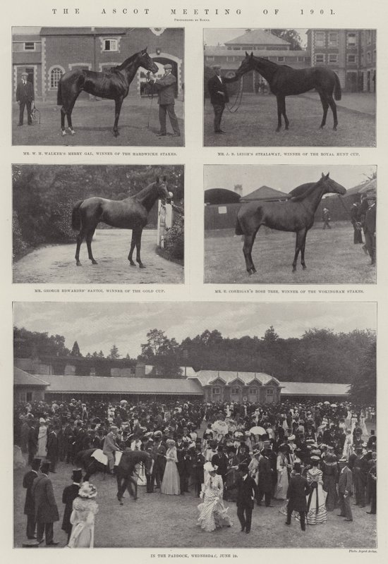 Ascotin kokous 1901 tekijältä English Photographer