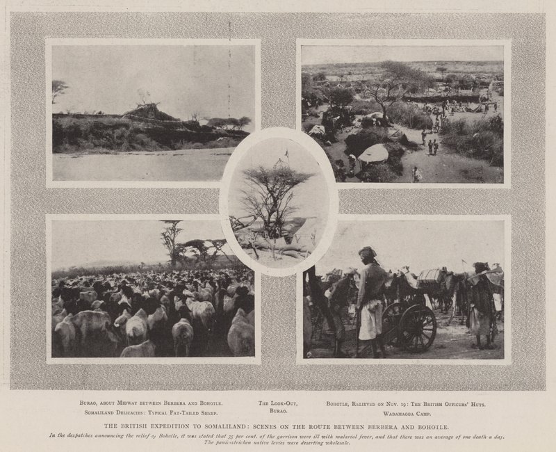 Brittiläinen retkikunta Somalimaahan, kohtaus Berberan ja Bohotlen välisellä reitillä tekijältä English Photographer