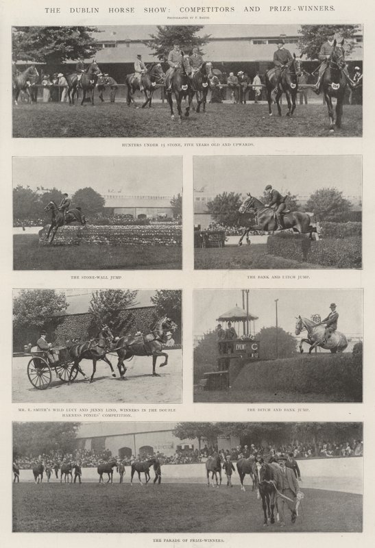 Dublin Horse Show, kilpailijat ja palkinnon voittajat tekijältä English Photographer