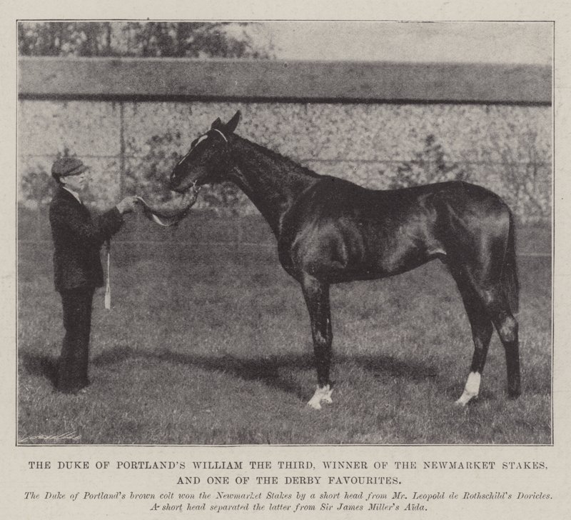 Portlandsin herttua William Kolmas, Newmarket Stakes -voittaja ja yksi Derbyn suosikeista tekijältä English Photographer