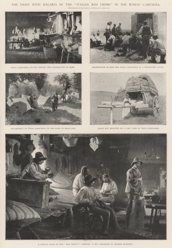 Italian Punaisen Ristin taistelu malariaa vastaan Rooman Campagnassa tekijältä English Photographer
