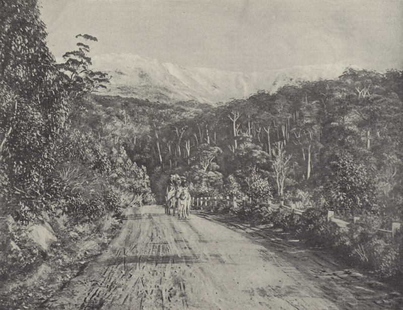 Huon Road tekijältä English Photographer