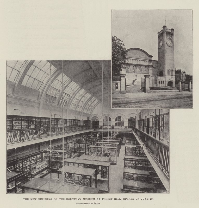 Horniman-museon uusi rakennus Forest Hillissä avattiin 29. kesäkuuta tekijältä English Photographer