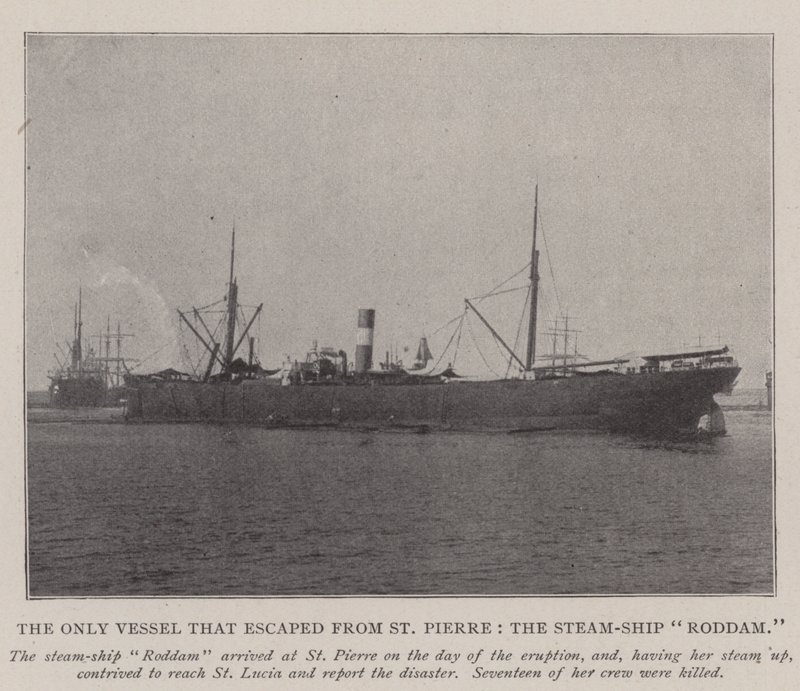 Ainoa St Pierrestä pakennut alus, Steam-Ship Roddam tekijältä English Photographer