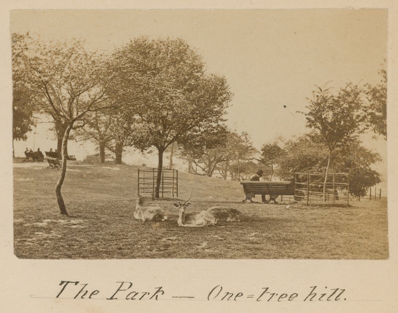 The Park - One Tree Hill, Greenwich tekijältä English Photographer