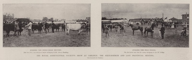 Royal Agricultural Society Show Carlislessa, kuudennenkymmenennenneljäs ja viimeinen maakunnan kokous tekijältä English Photographer