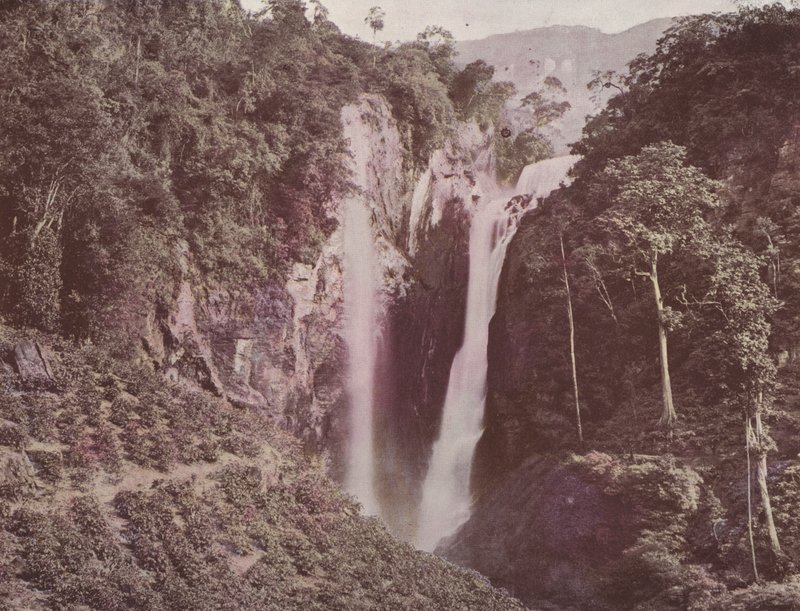 Twin Falls (etualalla kasvava kahvi), Ceylon (värillinen kuva) tekijältä English Photographer