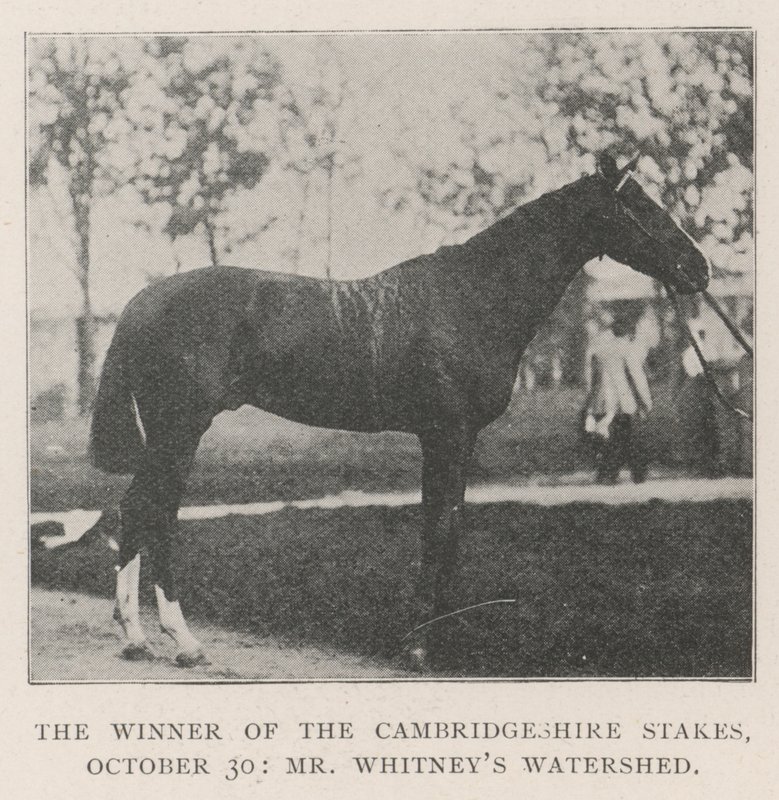 The Winner of the Cambridgeshire Stakes, 30. lokakuuta, herra Whitneys Watershed tekijältä English Photographer