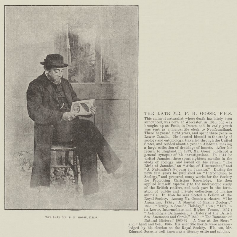 Edesmennyt herra P H Gosse, FRS tekijältä English Photographer