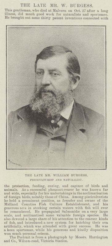 Edesmennyt herra William Burgess, kala- ja luonnontieteilijä tekijältä English Photographer