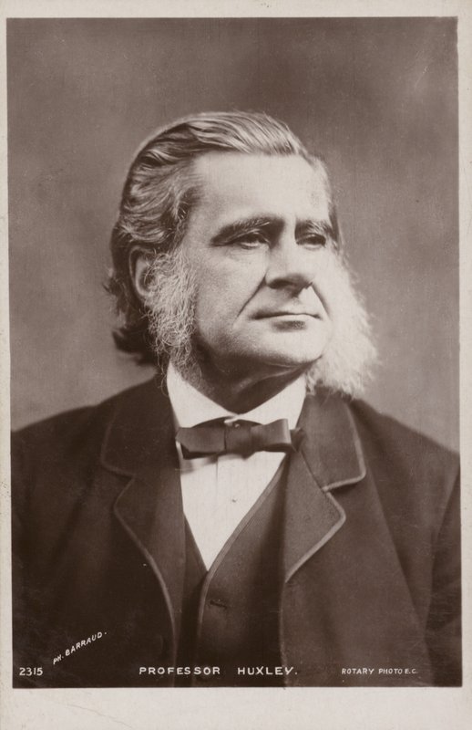Thomas Henry Huxley (1825-1895, englantilainen biologi tekijältä English Photographer