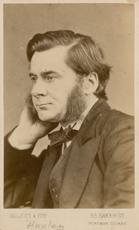 Thomas Henry Huxley tekijältä English Photographer