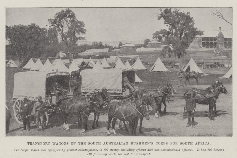 Etelä-Australian Bushmens Corpsin kuljetusvaunut Etelä-Afrikkaan tekijältä English Photographer