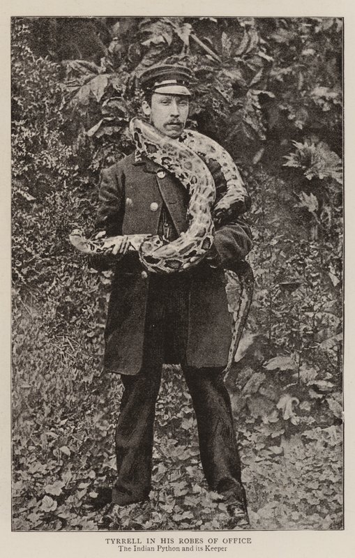 Tyrrell virkaviitoissaan tekijältä English Photographer