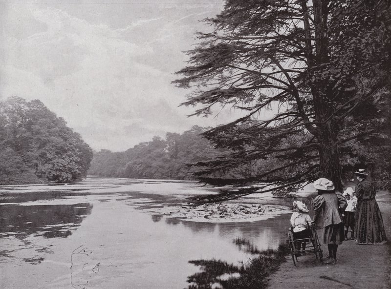 Wanstead Park tekijältä English Photographer
