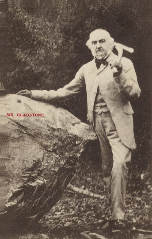 William Ewart Gladstone tekijältä English Photographer