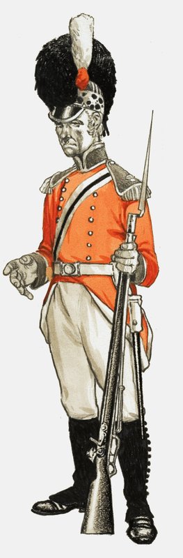 92. Hon. Artillery Co. Jalkaväkidivisioona Sotamies 1803 tekijältä English School