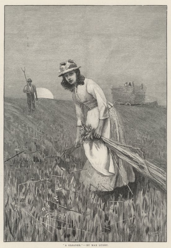 Gleaner (kaiverrus) tekijältä English School