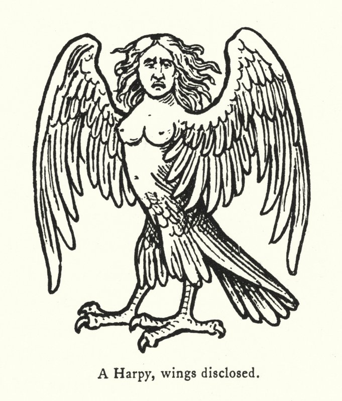 Harpy, siivet paljastettu (kaiverrus) tekijältä English School