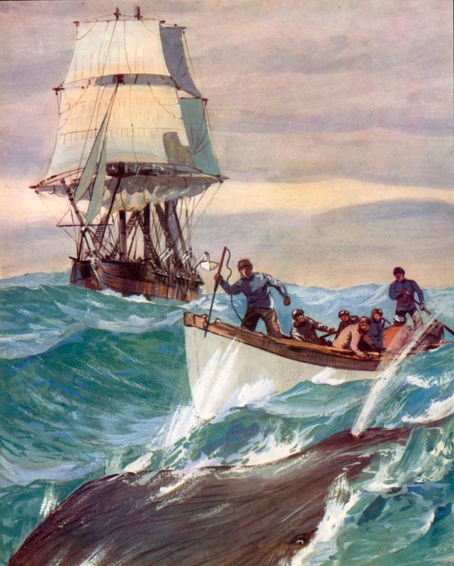 A Whaler (värilitografia) tekijältä English School