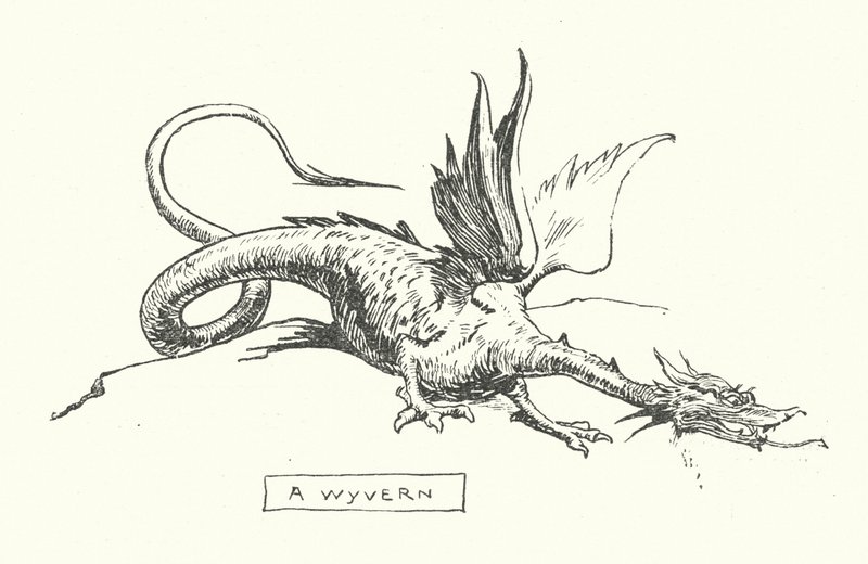 Wyvern (kaiverrus) tekijältä English School