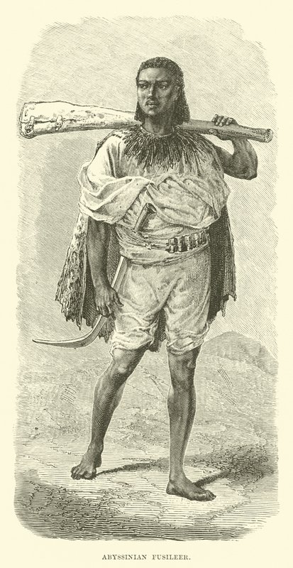 Abessinian fusileer tekijältä English School