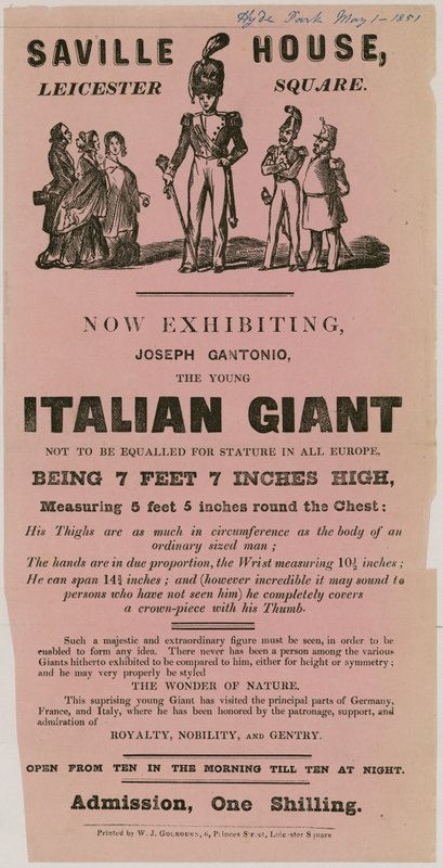 Mainos Joseph Gantonion, nuoren italialaisen jättiläisen, esiintymisestä tekijältä English School