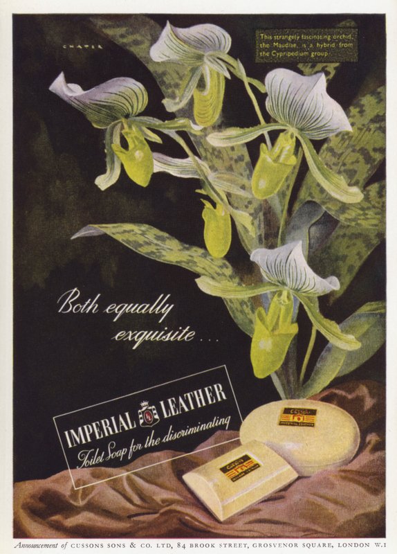 Cussons Imperial Leather -saippuan mainos (väri litho) tekijältä English School