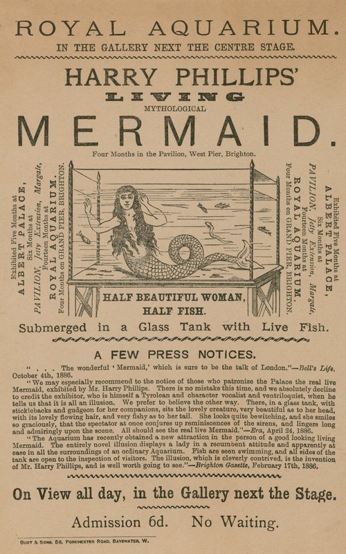Mainos Harry Phillips Living Mythological Mermaid tekijältä English School