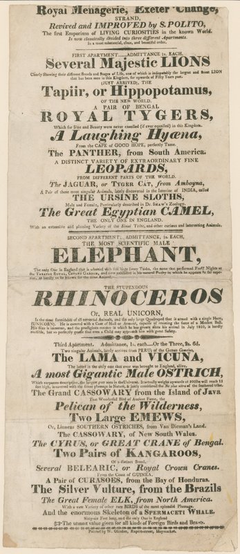 Mainos Royal Menagerie, Exeter Change tekijältä English School