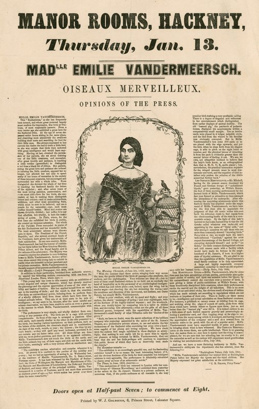 Mainos Mademoiselle Emile Vandermeerschin, Oiseaux Merveilleux