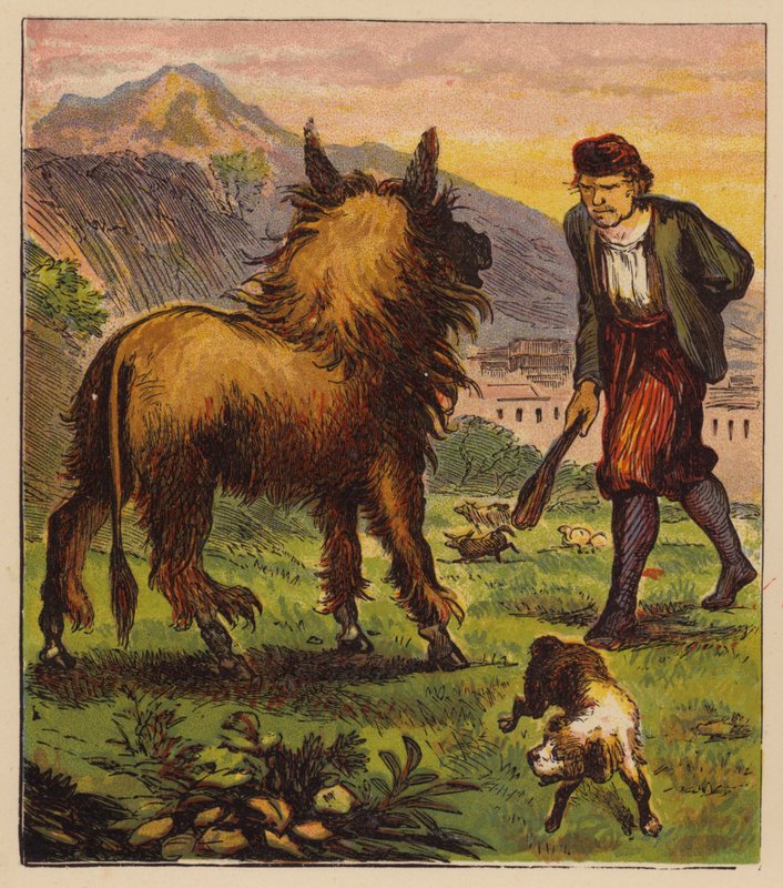 Aesop
