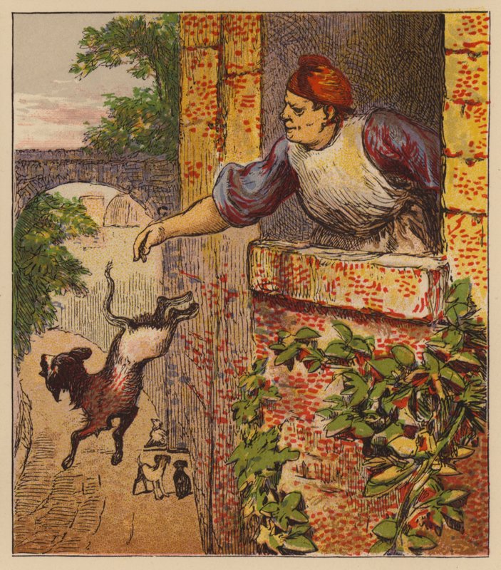 Aesop