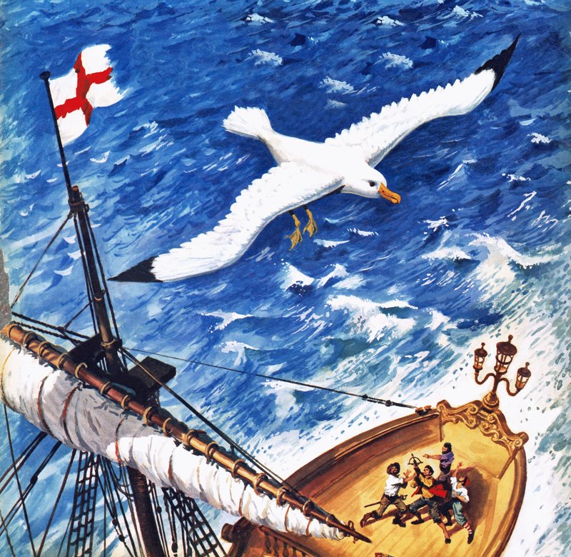 Albatrossi tekijältä English School