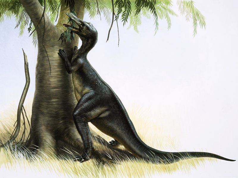 Anatosaurus tekijältä English School