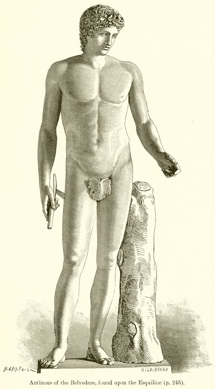 Antinous Belvederestä, löydetty Esquilinesta tekijältä English School