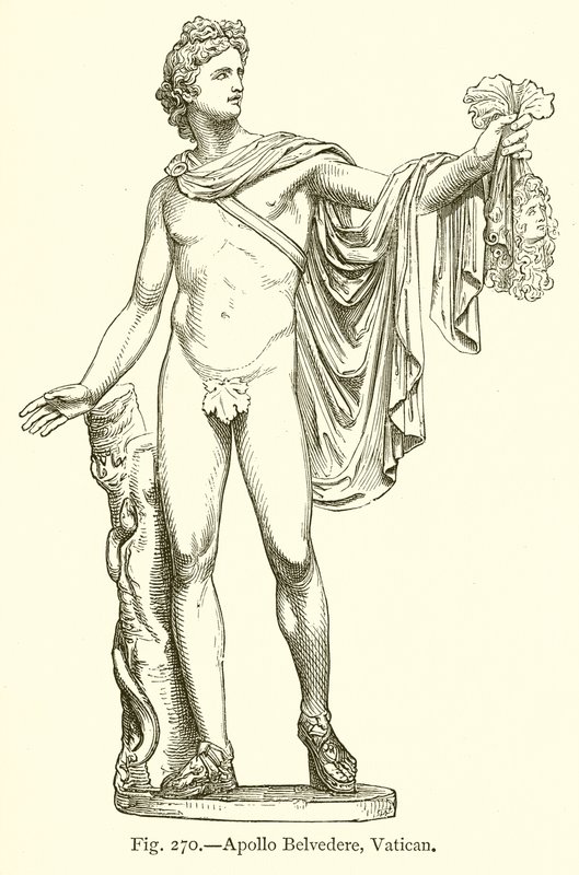 Apollo Belvedere, Vatikaani tekijältä English School