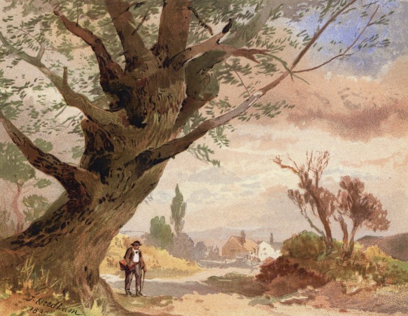 Ash by the Wayside (väri litho) tekijältä English School