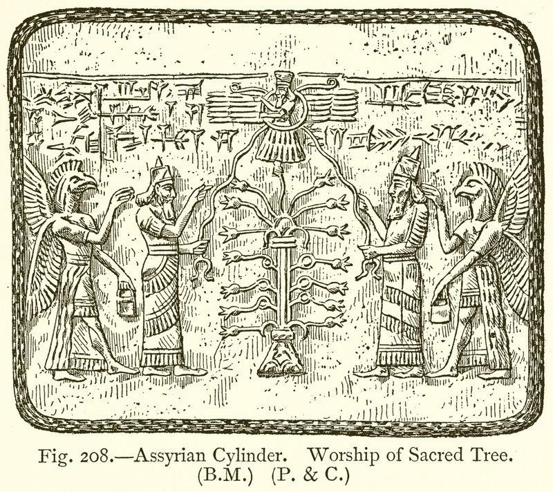 Assyrian sylinteri. Pyhän puun palvonta tekijältä English School