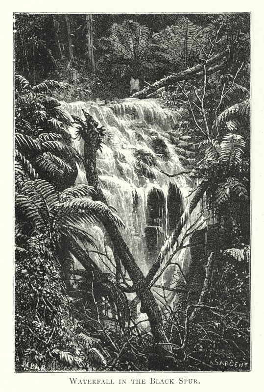 Australia: Waterfall in the Black Spur (kaiverrus) tekijältä English School
