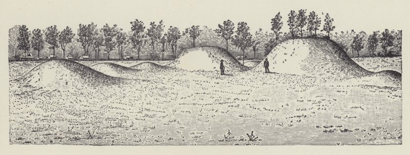 Avondale Mounds, Washingtonin piirikunta, Mississippi (litografia) tekijältä English School